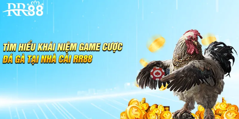 Tìm hiểu khái niệm game cược đá gà tại nhà cái RR88