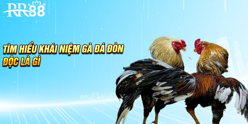 Tìm hiểu khái niệm gà đá đòn độc là gì