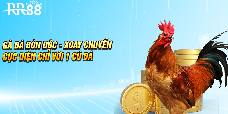Gà Đá Đòn Độc - Xoay Chuyển Cục Diện Chỉ Với Một Cú Đá